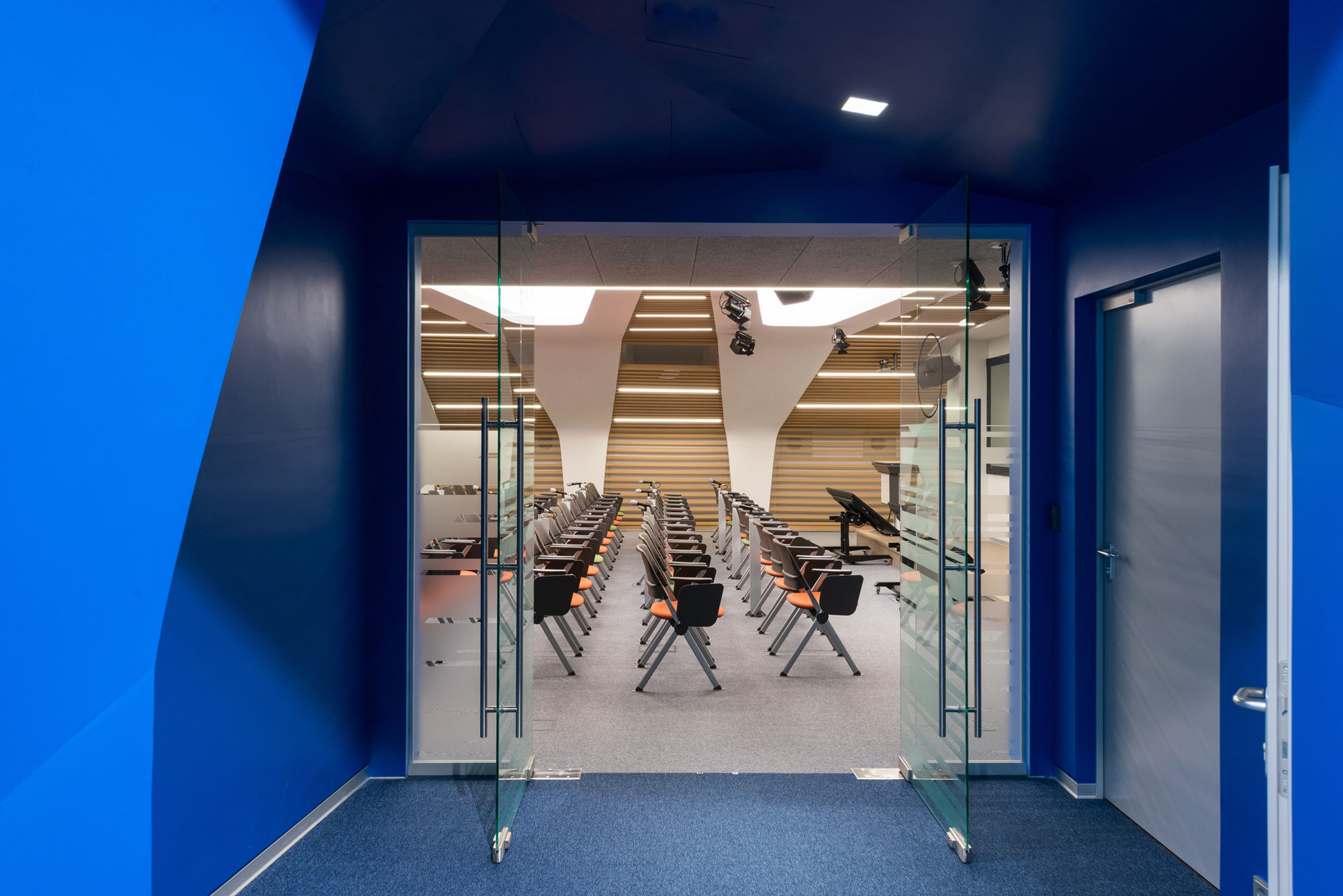 Фото Стеклянные двери (цельностеклянные)