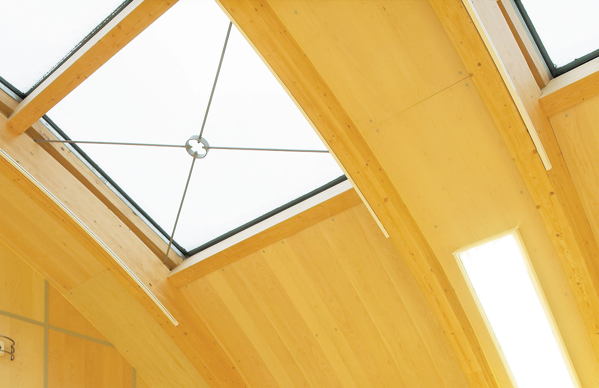 Фото Перегородки из ценных пород дерева NAYADA-Regina Line