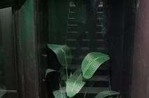 Двери в жилом доме ЖК Речной порт