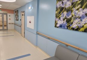 Панели из HPL компакт-пластика в проекте Облицовка HPL компакт пластиком в клинике